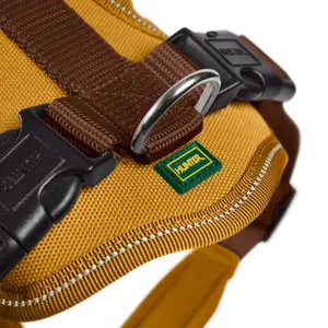 Hundegeschirr aus Neopren Hunter image-5