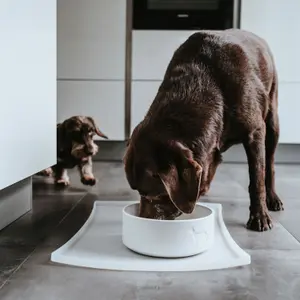 Gamelle pour chien Hunter Osby image-2