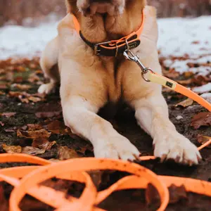 Collier pour chien Hunter Convenience image-2