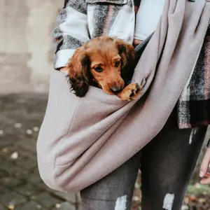 Dog carrier Bag Hunter Los Angeles image-1