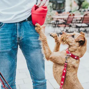 Dog poop bag Hunter Lugo image-4