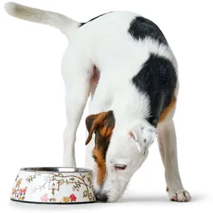 Bol para perros Hunter Mogami image-1