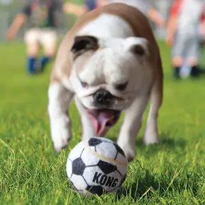 Juguete para perro Hunter Sport Balls image-4