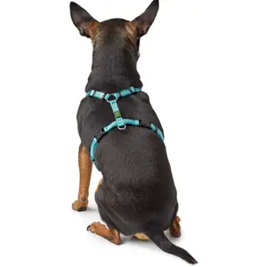 Hundsele Hunter Tripoli image-2