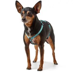 Hundsele Hunter Tripoli image-3