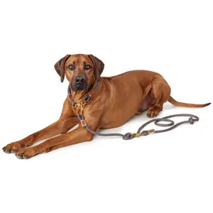 Trela de cão Hunter Sansibar Rantum image-2