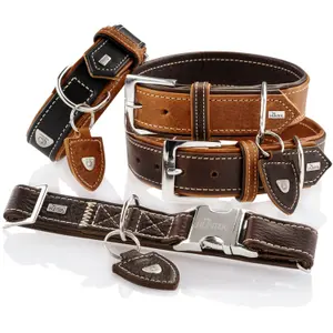 Dog collar Hunter Tara image-1
