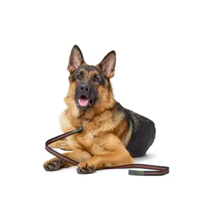Laisse pour chien Hunter Visby Super Grip image-3