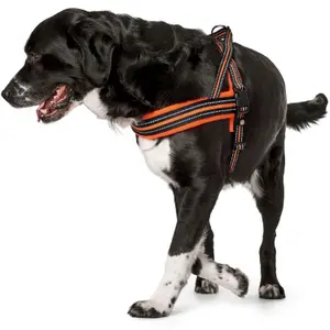 Hundsele Hunter Meldal image-1