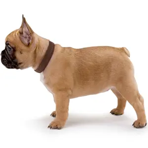 Hondenhalsband Hunter VP image-1