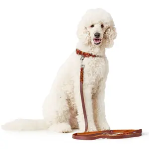 Correa para perros Hunter Solid Education image-2