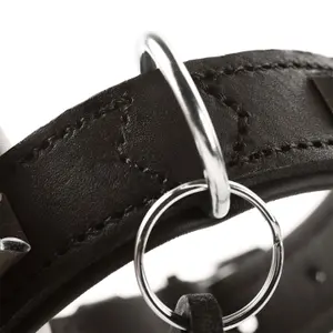 Coleira cão Hunter Larvik image-2