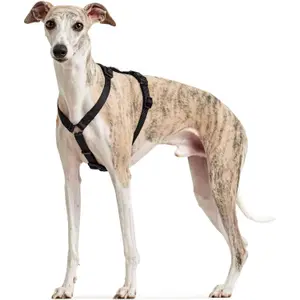 Hundsele Hunter Safety VR image-1