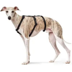 Hundsele Hunter Safety VR image-2