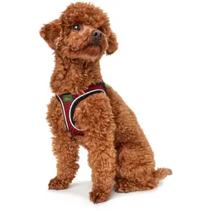 Hundsele Hunter Hilo Comfort image-1