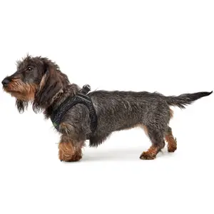 Hundsele Hunter Hilo Soft Comf image-2