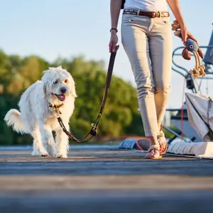 Solid dog leash Hunter Sansibar image-2
