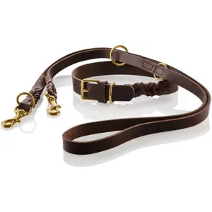 Solid dog leash Hunter Sansibar image-1