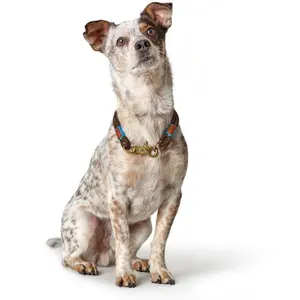 Hundehalsband Hunter Oss image-2