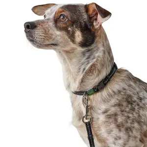 Hundhalsband Hunter Tripoli VB image-1