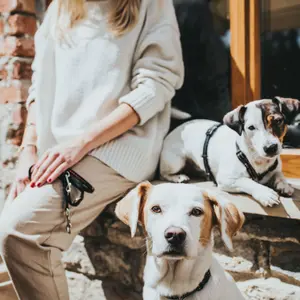 Dog t-leash Hunter Tripoli image-3