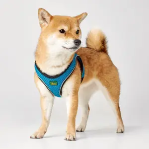 Hundsele Hunter Hilo Comfort image-1