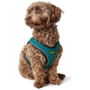 Hundsele Hunter Hilo Comfort image-2