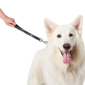 Solid dog leash Hunter Solid Education image-3