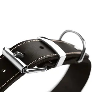 Coleira cão Hunter Aalborg Special image-4