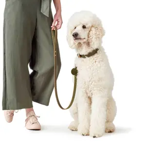 Dog leash Hunter image-1