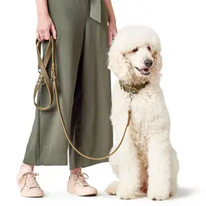 Dog leash Hunter image-1