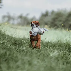 Hundleksak Hunter Faro Dog image-4