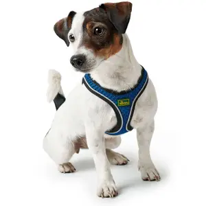 Hundsele Hunter Hilo Comfort image-1