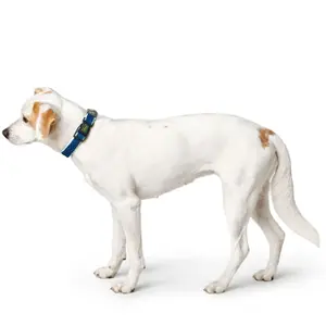Hundehalsband Hunter Hilo Vario Basic image-2