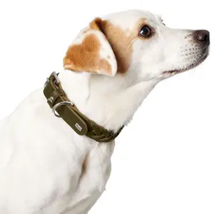 Hundhalsband Hunter Solid Education Special image-2