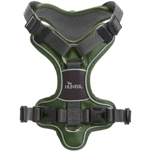 Hundsele Hunter Divo image-1