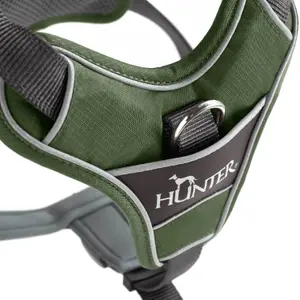 Hundsele Hunter Divo image-4