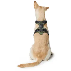 Hundsele Hunter Divo image-2