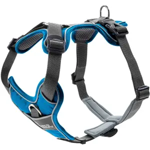 Hundsele Hunter Divo image-0