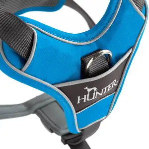 Hundsele Hunter Divo image-4