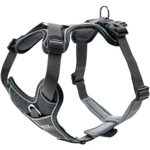 Hundsele Hunter Divo image-0