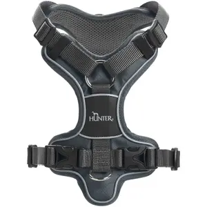 Hundsele Hunter Divo image-1