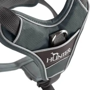 Hundsele Hunter Divo image-3