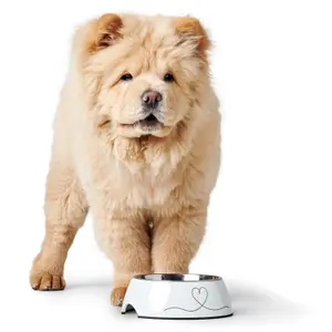 Gamelle pour chien Hunter Valencia image-3