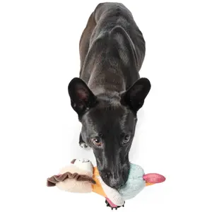 Peluche de leão para cães Hunter Muli image-2