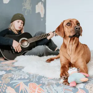 Peluche de leão para cães Hunter Muli image-3