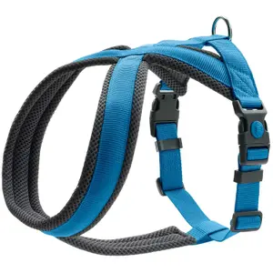 Hundsele Hunter London Comfort image-0