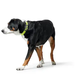 Hundhalsband Hunter London Vario Plus image-2