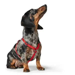 Hundsele Hunter London Vario Rapid image-3