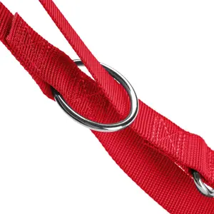 Adjustable dog leash Hunter London image-2